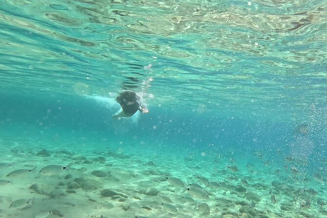 Private 1-Hour Guided Snorkeling Adventure with Go Pro Pictures - Alex and a Family-Run Team Since 2011: Comfort and Control