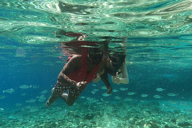 Private 1-Hour Guided Snorkeling Adventure with Go Pro Pictures - Price of $137.57 for a Private Hour: What You’re Actually Paying For