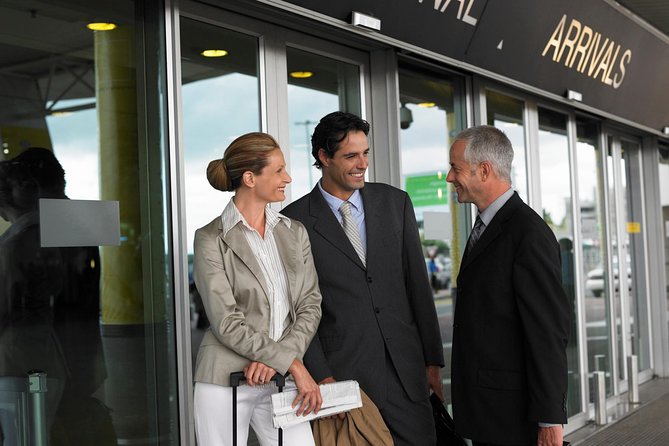 Private Arrival Transfer: Mykonos Airport or Cruise Port to Hotels - Key Things I’d Focus On