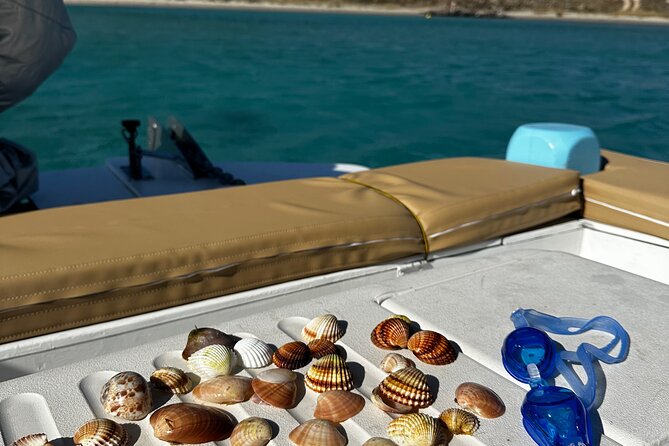 Private Cruise with Handmade Antique Boat around Mykonos-Full Day - Agrari, Elia, and Kalo Livadi: more local-feeling stops