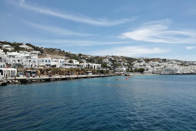 Private Mykonos island sightseeing tour. - Flexibility and the Human Touch: What the Best Guides Do