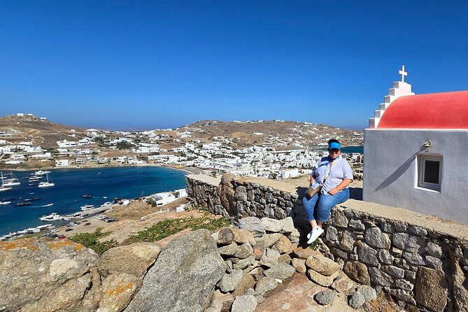 Private Mykonos Island tour by Luxury Minibus up to 11 passengers - Booking tips so you don’t lose time on Mykonos