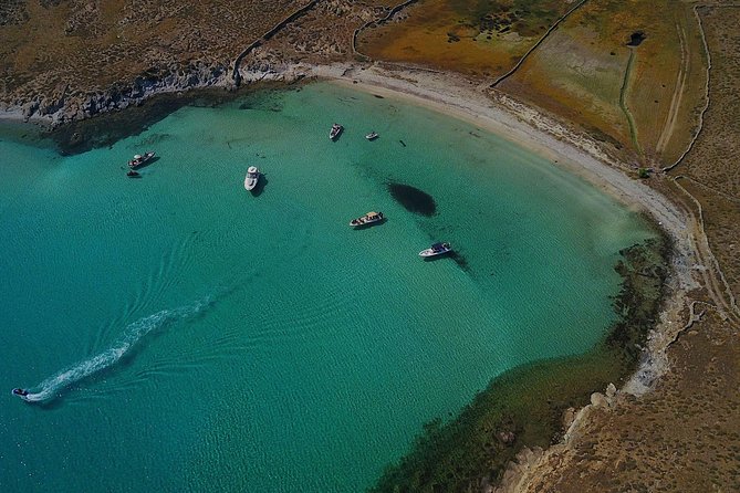 Private Speedboat Cruise from Delos to Rhenia and Mykonos - Open bar, snacks, snorkeling gear: what’s included and what to double-check
