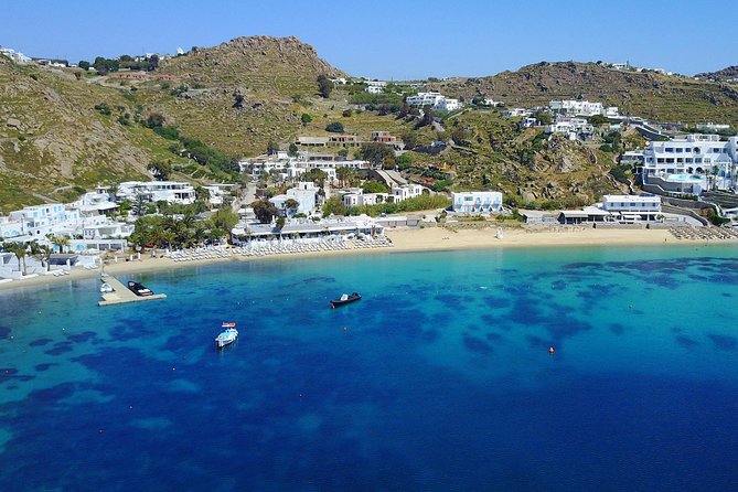 Private Speedboat Cruise from Delos to Rhenia and Mykonos - Who this private speedboat cruise is best for