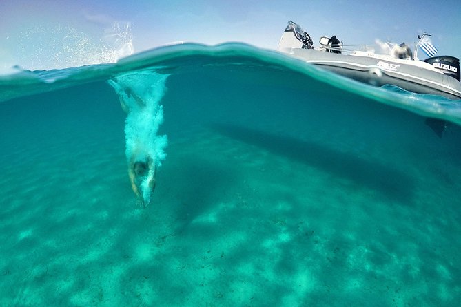 Private Speedboat Cruise from Delos to Rhenia and Mykonos - Rhenia and Skinos (Blue Lacuna): the best swimming stretch