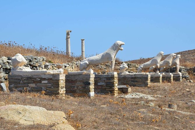 Private Tour: Delos Day Trip from Mykonos - A realistic heads-up before you book