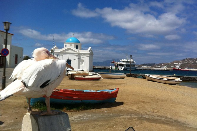 Private Tour: Mykonos Island in Half a Day - Windmills (Kato Milli): iconic views with real explanation