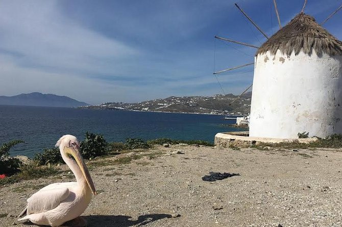Private Tour: Mykonos Island in Half a Day - Paraportiani Church: short stop, big payoff