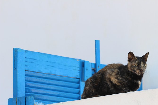 Private Tour: Mykonos Island in Half a Day - A nearby beach stop: quick sand time near town