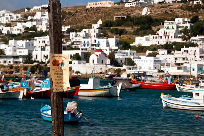 Private Tour of Little Venice, Kalafati Beach and Panagia Tourliani Monastery - Price and value: what $481.04 per person buys you