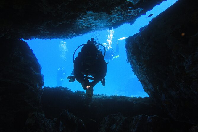 Qualified Diver 1 Tank Dive in Mykonos - Rocky shore reality: Paradise Beach isn’t sand-soft