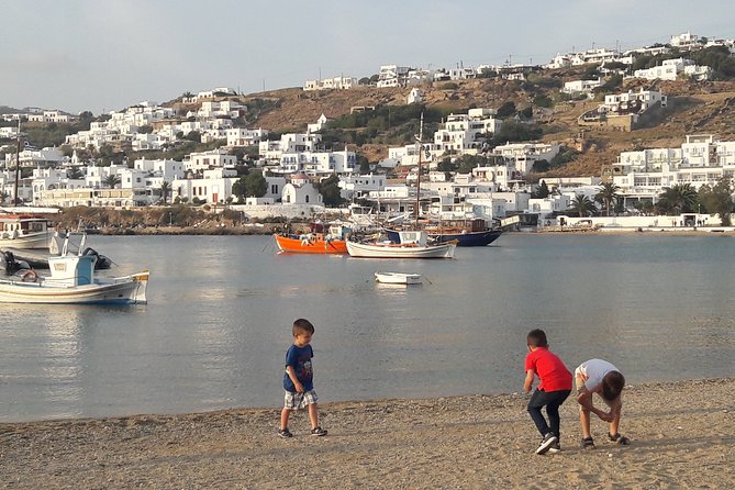 Shore Excursion Private - Price and value: is $494.50 per group fair for a cruise day?