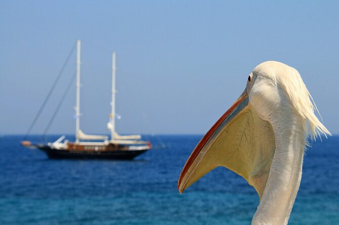 Sightseeing like a Mykonian(Small Group or Private) - Ano Mera village and the Tourliani monastery: the other Mykonos