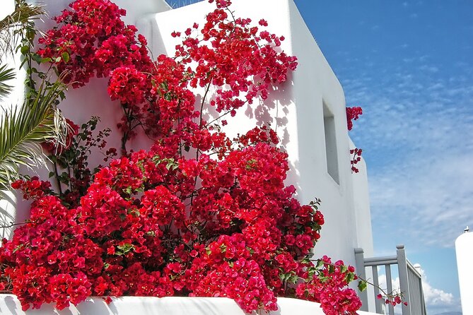 Sightseeing like a Mykonian(Small Group or Private) - Optional Armenistis Lighthouse and Agios Stefanos area