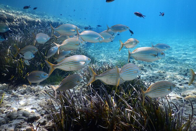 Snorkeling Adventure Trip - Getting to Paradise Beach and Finding the Meeting Point