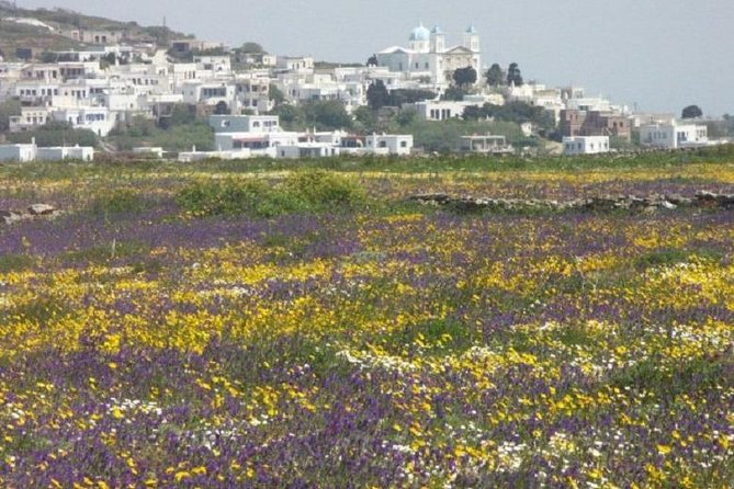 Tinos Island Tour from Mykonos - Tinos Town and the Church of Evangellistria: the main reason to go