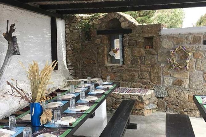 Traditional Barbecue Experience at Traditional Farm in Mykonos - The sides are the secret star: horiatiki, tzatziki, and more