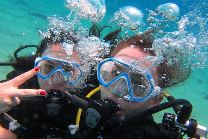 Try a DIVE, discover scuba diving in Mykonos - Key highlights you can bank on