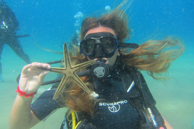 Try a DIVE, discover scuba diving in Mykonos - The 1.5-hour beginner plan, step by step