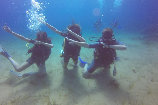 Try a DIVE, discover scuba diving in Mykonos - Getting into gear without the usual first-timer chaos