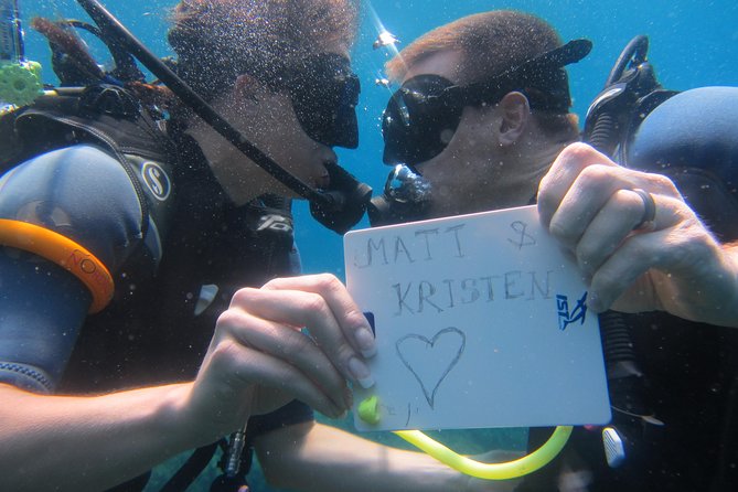 Try a DIVE, discover scuba diving in Mykonos - What you’ll see underwater (and what you should not assume)
