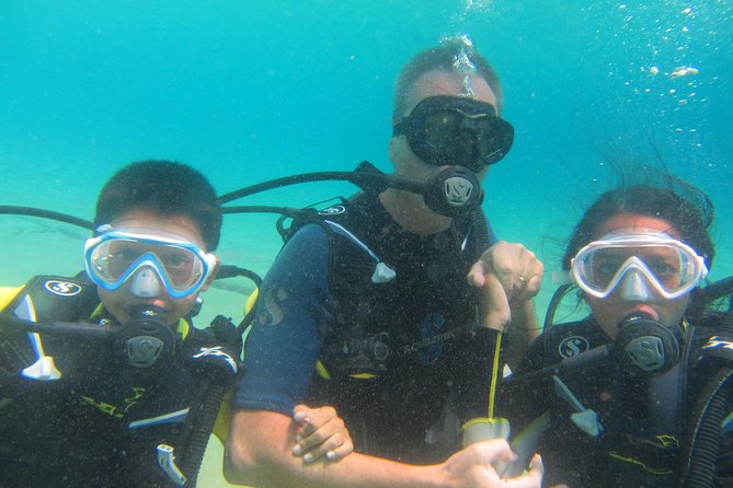 Try a DIVE, discover scuba diving in Mykonos - Price and value: is $193.57 fair for what you get?